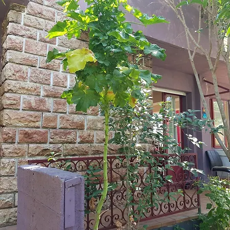 Privees Maison Jardin Toutes Commodites Partagees Отель типа 